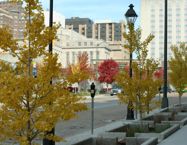 Capital Trees 14th Street Initiative Honored by Scenic Virginia