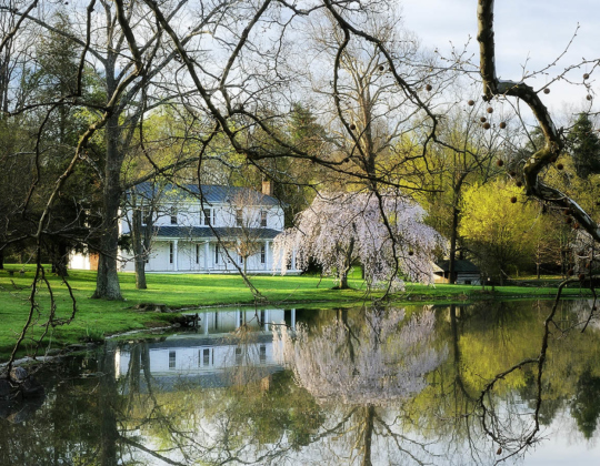 Solitude at Virginia Tech