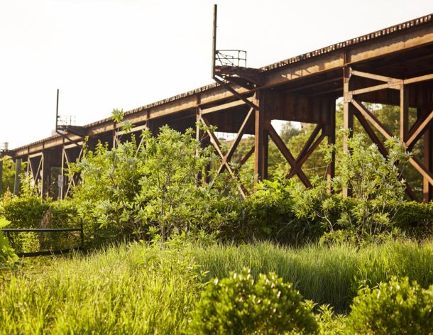 Head of Virginia Capital Trail opens at Great Shiplock Park